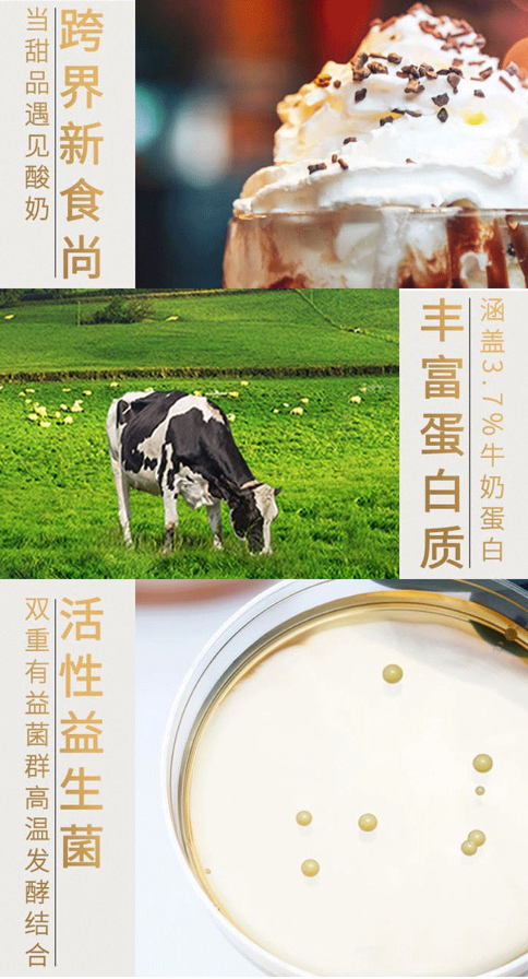 好享閑”甜品時刻，享受酸奶新風尚