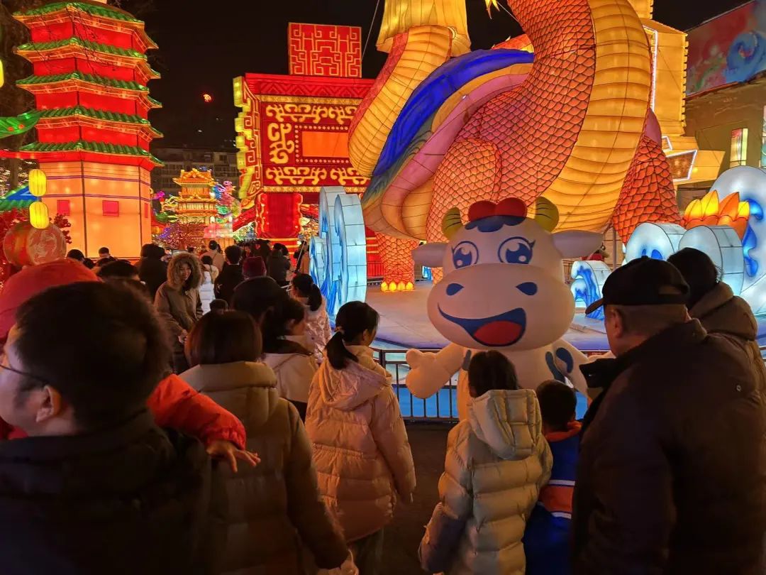 央視直播鄭州龍年燈會(huì)迎新春，花花牛品牌上大分