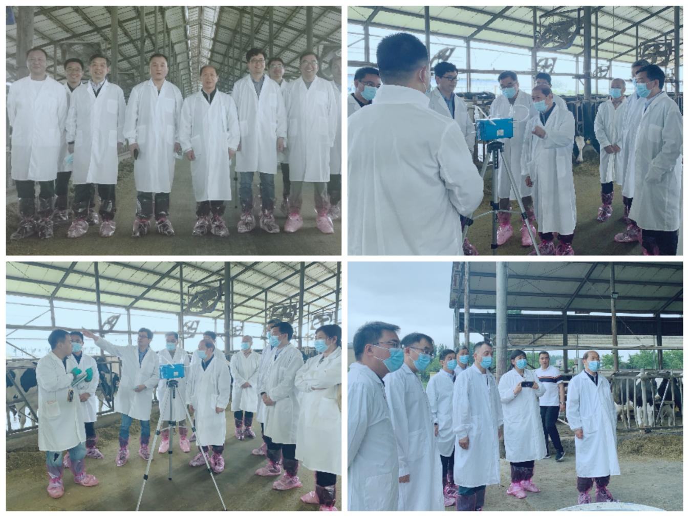 花花牛丨河南農(nóng)業(yè)大學(xué)黨委副書記、校長介曉磊一行蒞臨花花牛河南瑞亞參觀調(diào)研