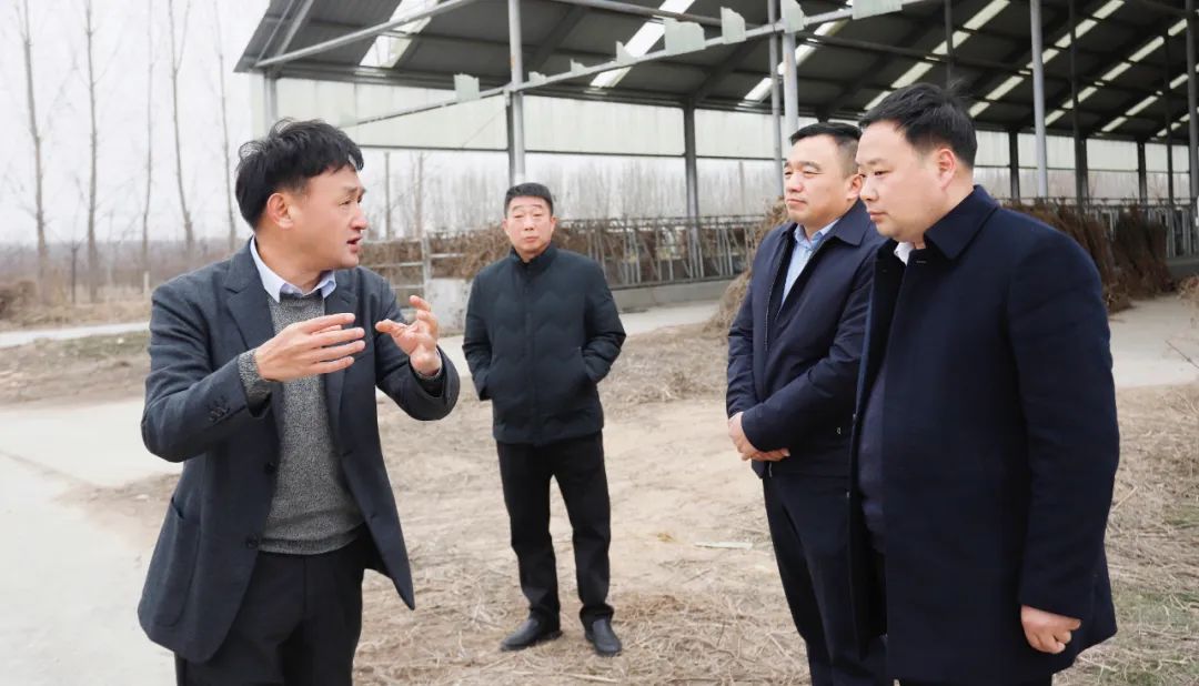 發(fā)揮產(chǎn)業(yè)優(yōu)勢 助力鄉(xiāng)村振興 | 民權(quán)縣委副書記、縣長王靜嫻會見關(guān)曉彥董事長一行