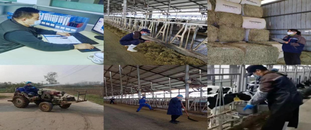 @全體花花牛人：請珍惜你的崗位，請善待我們共同的“花花?！保? style=