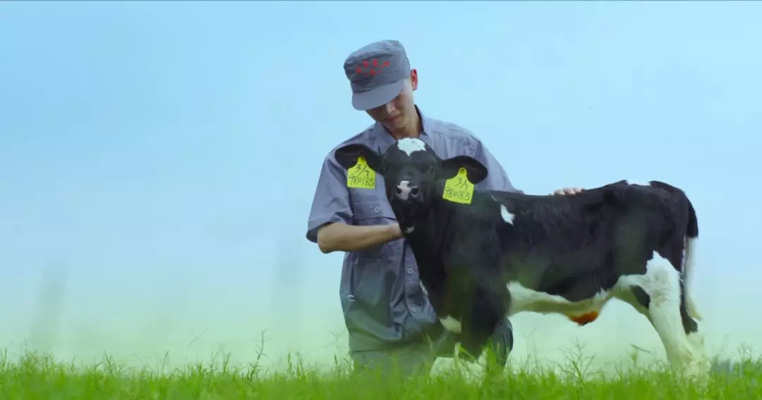 河南省人大常委會黨組書記、副主任孔昌生蒞臨花花牛魯山瑞亞牧場參觀調(diào)研