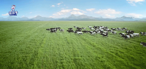 快訊 | 2020河南民營企業(yè)100強發(fā)布 花花牛榮獲“河南民營企業(yè)現(xiàn)代農(nóng)業(yè)100強”、“河南民營企業(yè)社會責任100強”雙榮譽