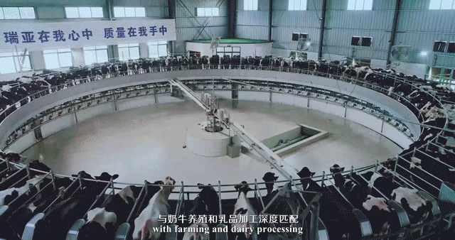 快訊 | 河南省委常委、省紀(jì)委書記、省監(jiān)委主任任正曉蒞臨花花牛乳業(yè)集團(tuán)新蔡瑞亞牧場(chǎng)調(diào)研