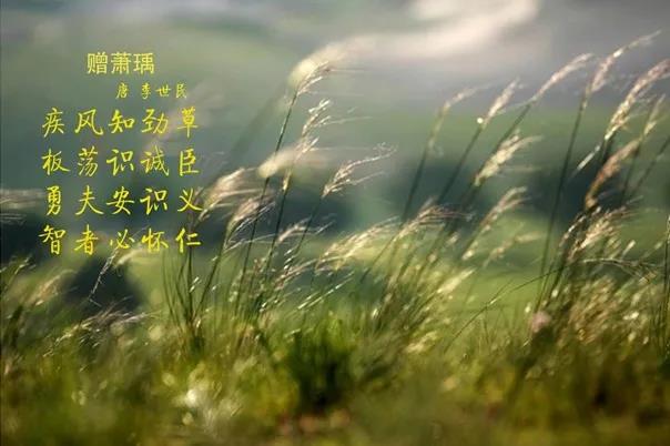 花花牛 | 疾風(fēng)來(lái)臨，你是不是勁草？
