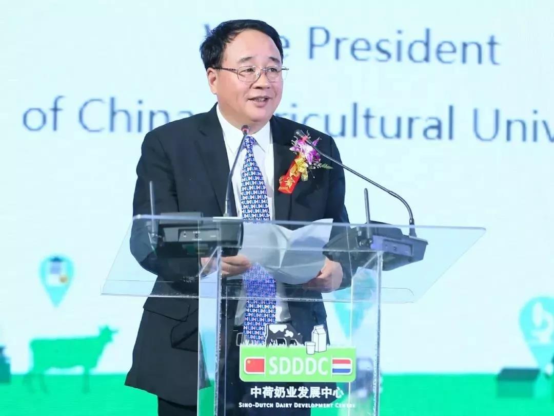 SDDDC走進(jìn)河南，看看花花牛的國(guó)際范兒！