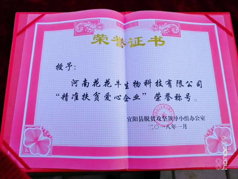 關(guān)愛成長(zhǎng) 相伴未來——精準(zhǔn)扶貧“暖冬公益行”走進(jìn)宜陽(yáng)縣白楊鎮(zhèn) 關(guān)愛成長(zhǎng) 相伴未來——精準(zhǔn)扶貧“暖冬公益行”走進(jìn)宜陽(yáng)縣白楊鎮(zhèn)