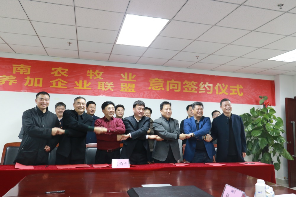 涉農(nóng)企業(yè)強(qiáng)強(qiáng)聯(lián)合，“抱團(tuán)取暖”共迎企業(yè)發(fā)展的春天