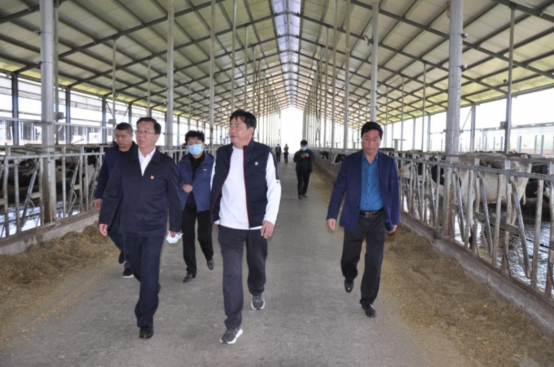 商丘市委常委、宣傳部部長(zhǎng)王全周一行蒞臨睢縣瑞亞牧業(yè)有限公司調(diào)研